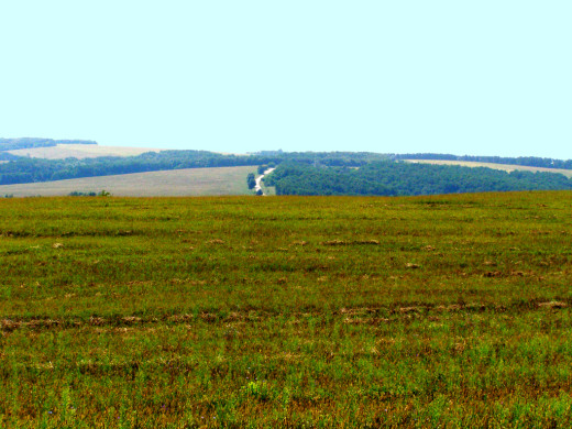 29054 (a): :1024x768